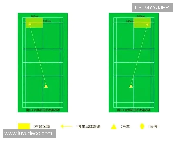 羽毛球速度提升全攻略从基础到进阶的全面指南