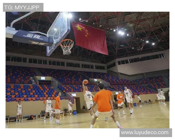 专访篮球教练杨强探讨成功秘诀与未来发展方向