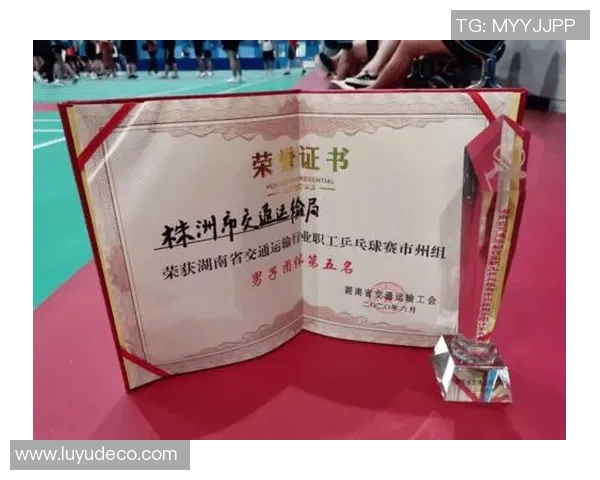 乒乓球团队协作实力榜单揭晓深圳乒乓球队荣获第四名佳绩