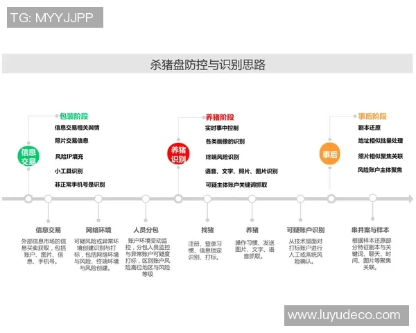 南京排球队的阵地战策略解析与深度剖析