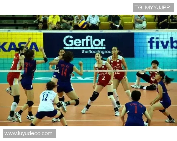 广州排球队的转换体系解析与战术创新探讨 广州排球队的转换体系解析与战术创新探讨