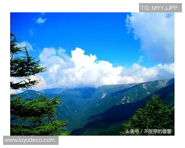 李秀英专访:攀岩之路的艰辛与荣耀回顾 李秀英专访:攀岩之路的艰辛与荣耀回顾