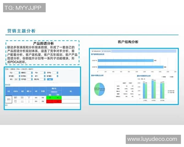 深入探讨V5在数据分析中的速度表现及其对业务决策的影响 深入探讨V5在数据分析中的速度表现及其对业务决策的影响