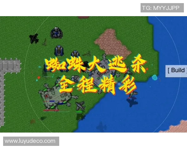 罗瑟汉姆与布成的激烈对决谁能在这场比赛中脱颖而出