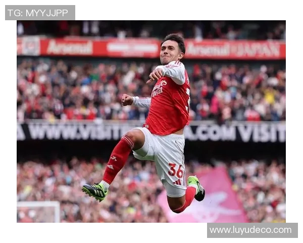 维快速与阿森纳的精彩对决揭示足球战术的魅力与激情 维快速与阿森纳的精彩对决揭示足球战术的魅力与激情