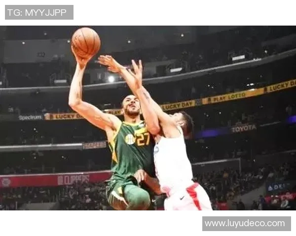 鲁迪戈贝尔:从法国篮球新星到NBA防守巨兽的辉煌历程