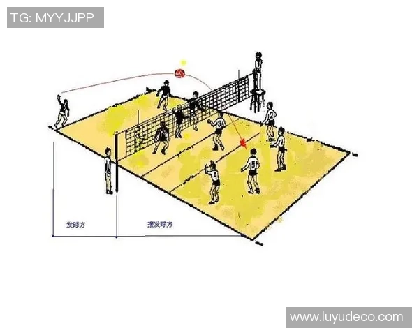 上海排球队进攻战术解析与球队表现的深度剖析