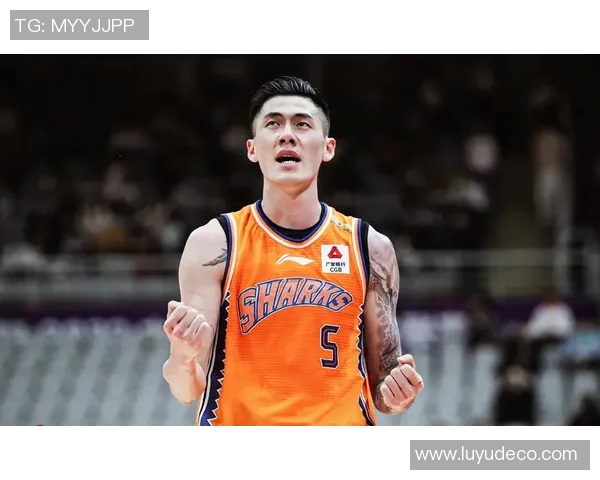 刘铮的奋斗历程与篮球梦想如何激励年轻一代追求卓越与坚持不懈