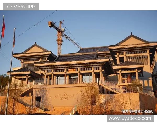 代怀博：探寻新时代的文化传承与创新之路