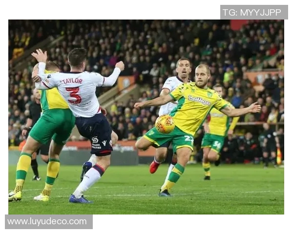 巴西对阵美国精彩赛事在线直播全程回顾与分析 巴西对阵美国精彩赛事在线直播全程回顾与分析