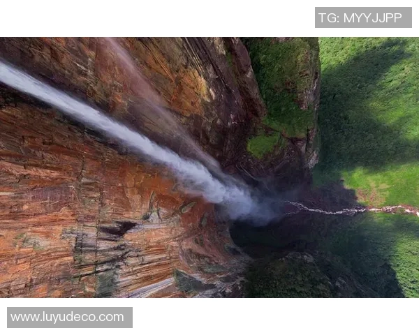 广州攀岩队奋斗历程全景记录与成长故事分享MBA