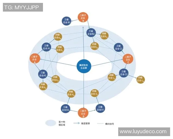 成都乒乓球队区域防守策略深度解析与实践探讨