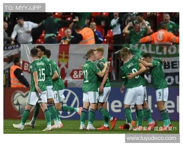 波兰与爱尔兰精彩对决视频直播全程回顾与精彩瞬间分享